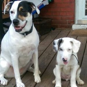 Meet your Posher, Janet